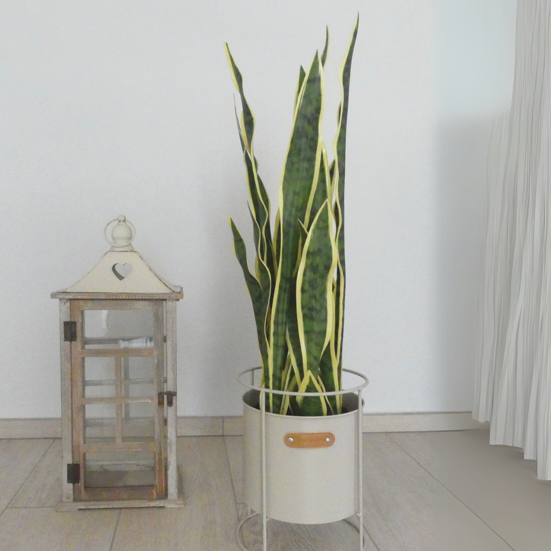 Piante Artificiali da interno