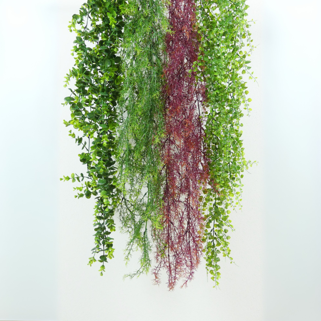 Green Eucalyptus
