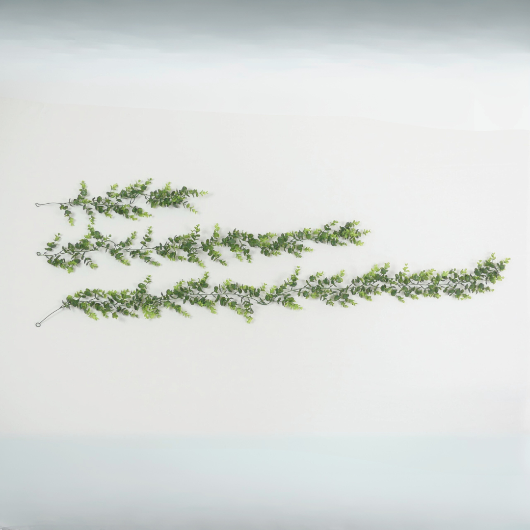 Green Eucalyptus