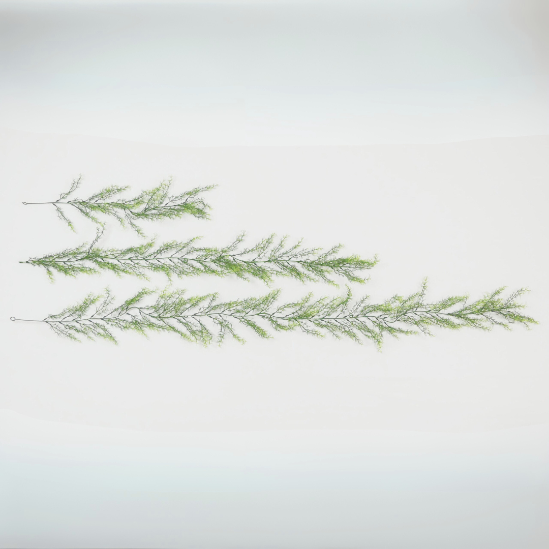 Asparagine