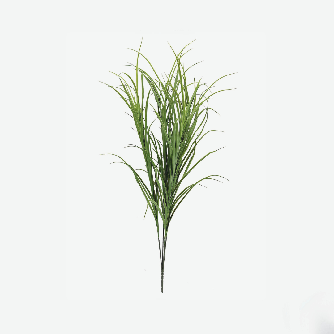 Tall Grass