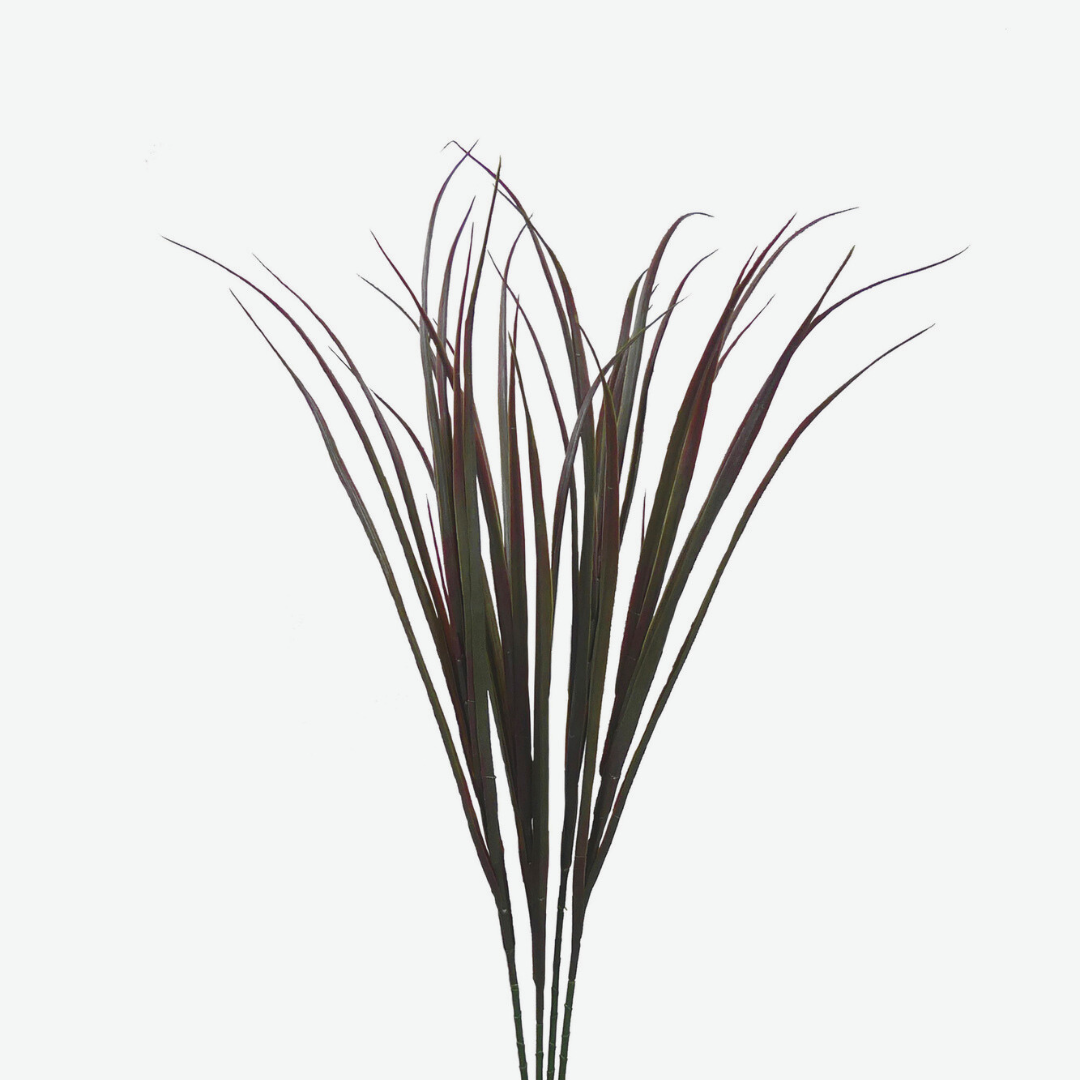 Double Color Gramineae