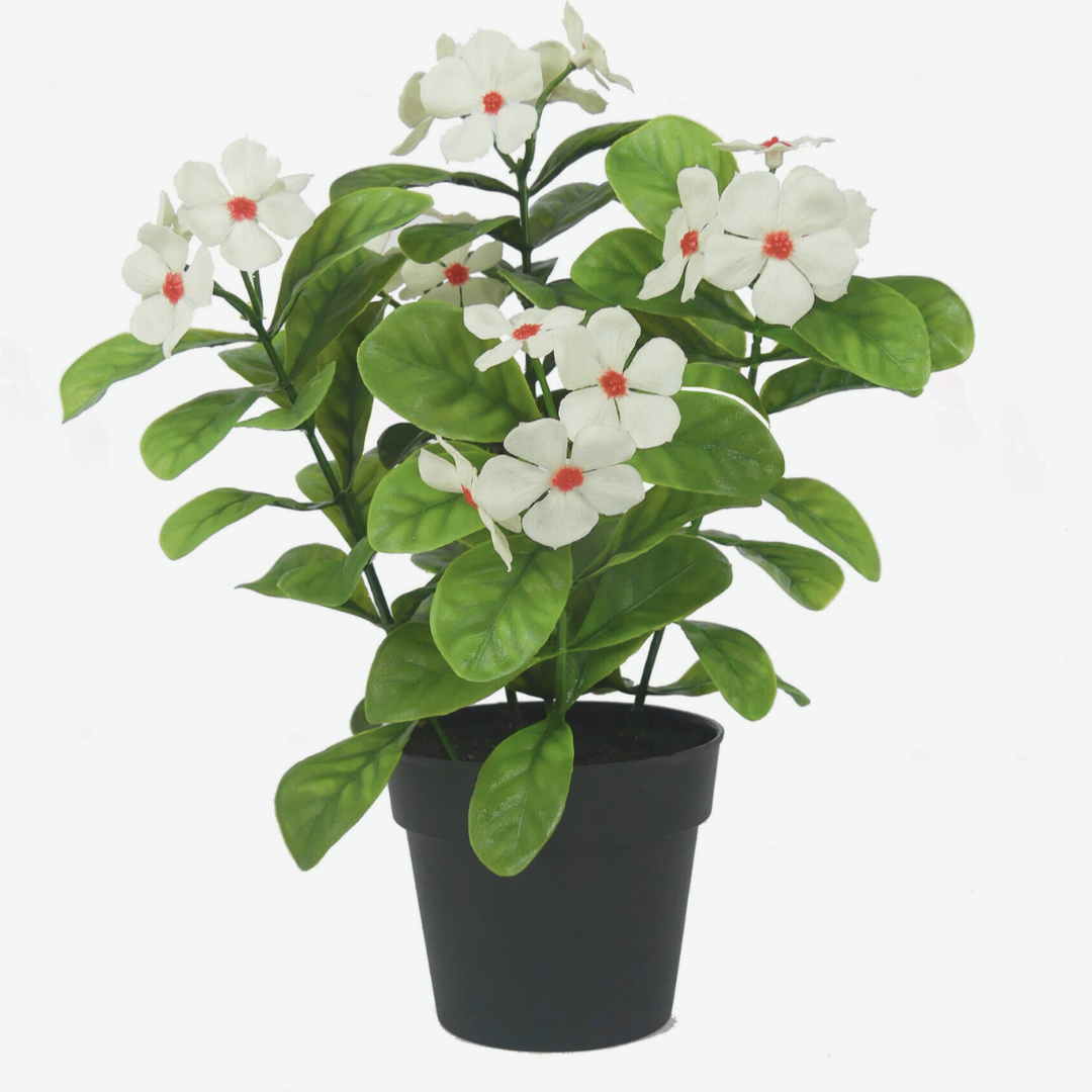 White Glass Flower