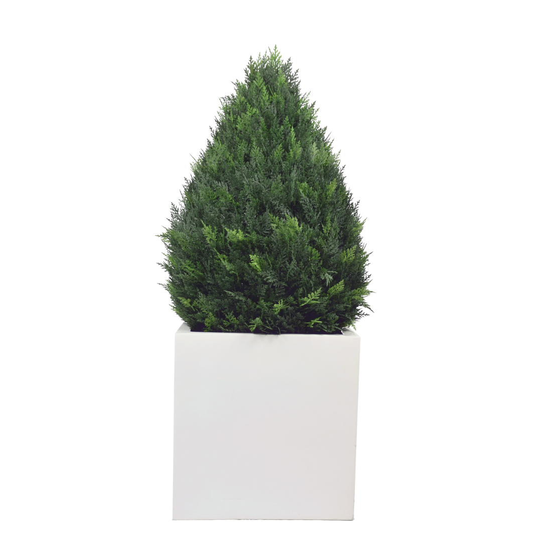 Drop Cypress
