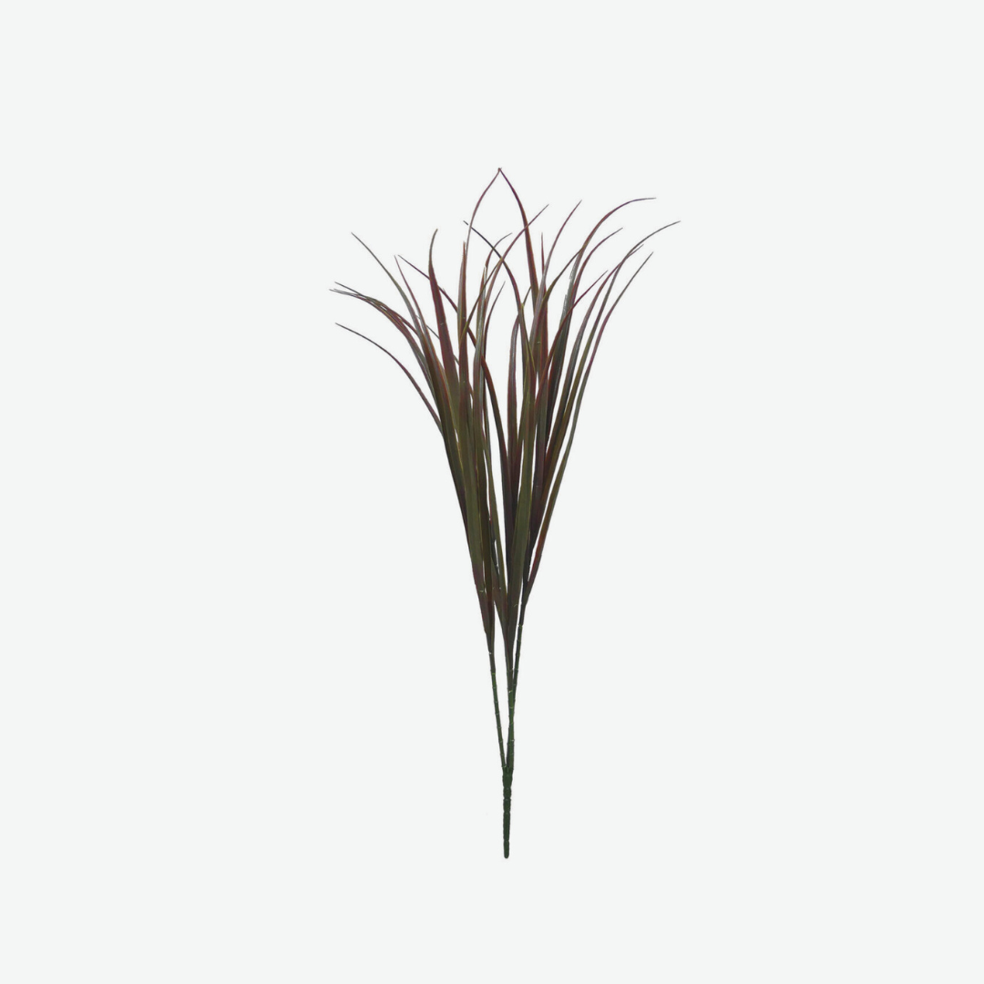 Double Color Gramineae
