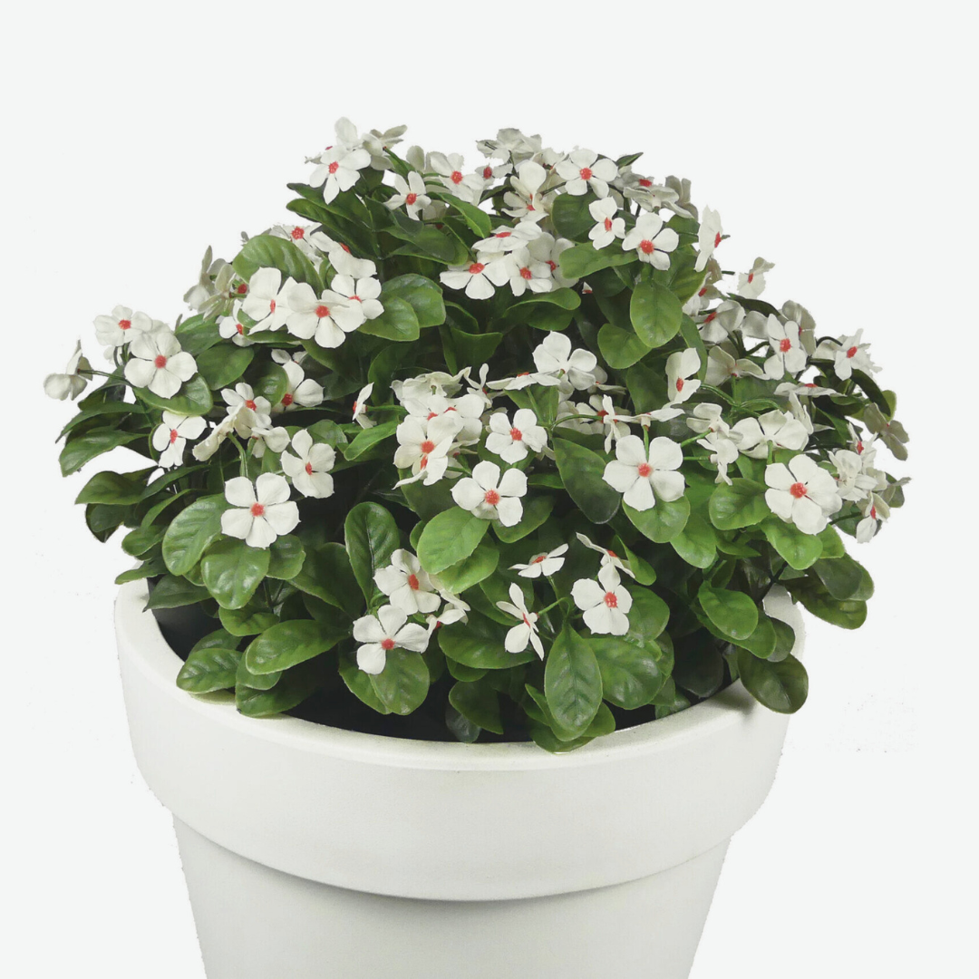 White Glass Flower