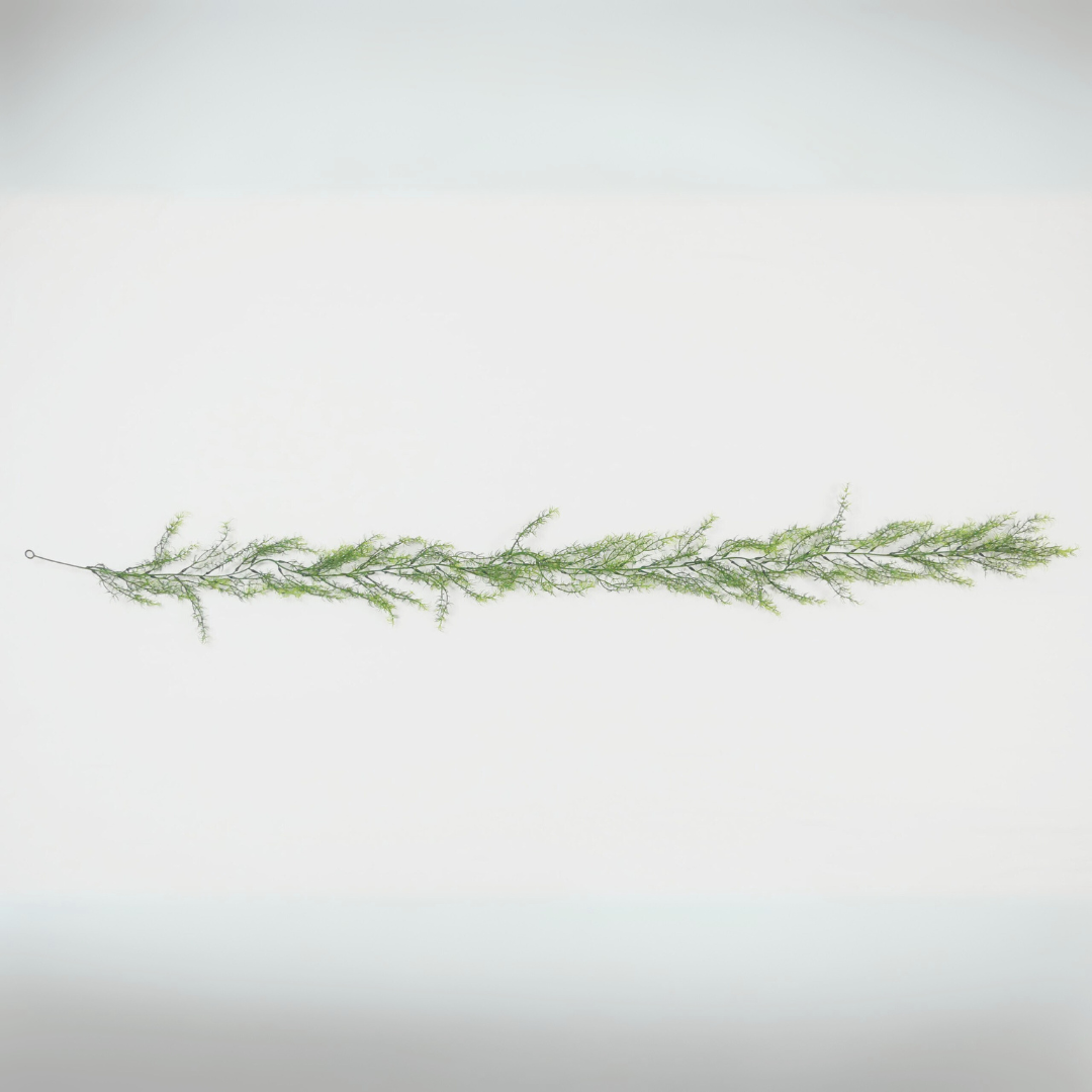 Asparagine