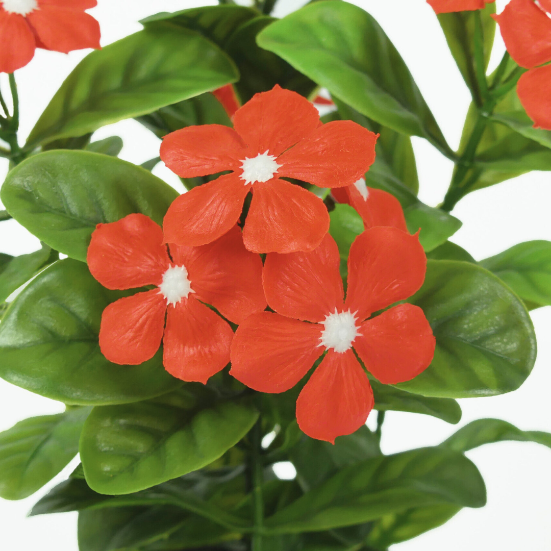 Fiore di Vetro Rosso