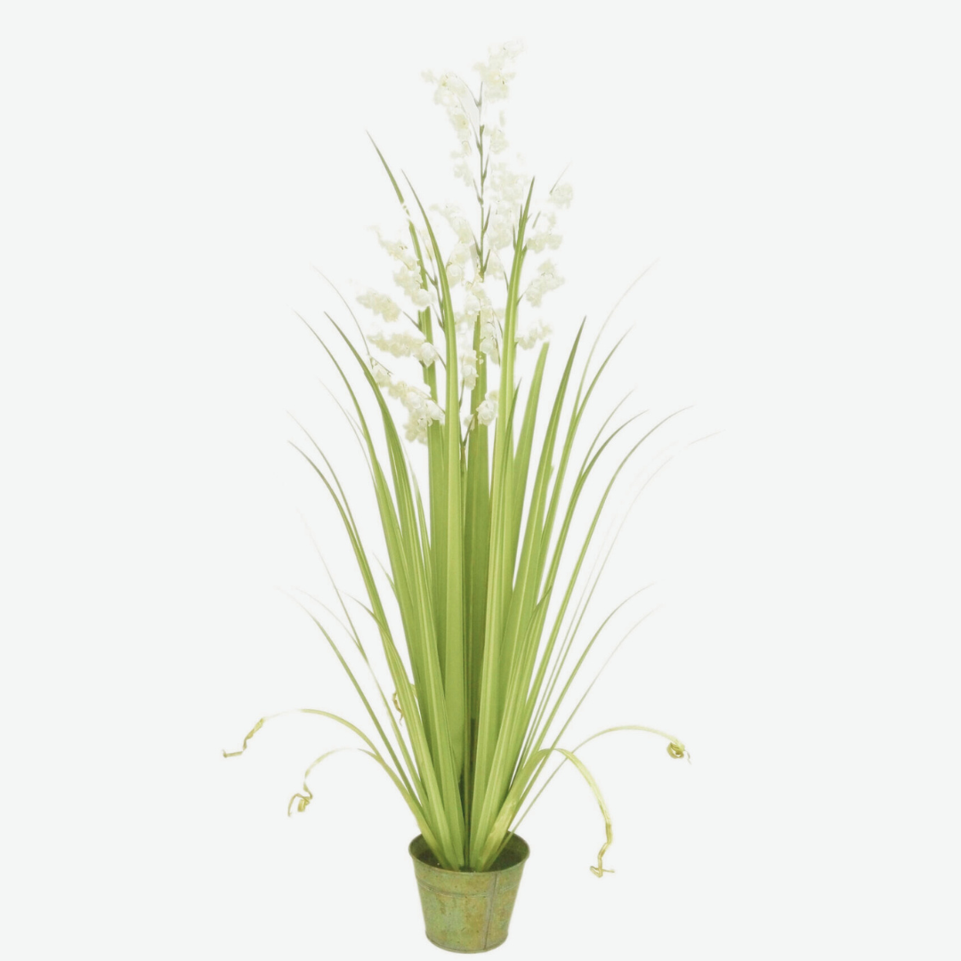 Bellflower