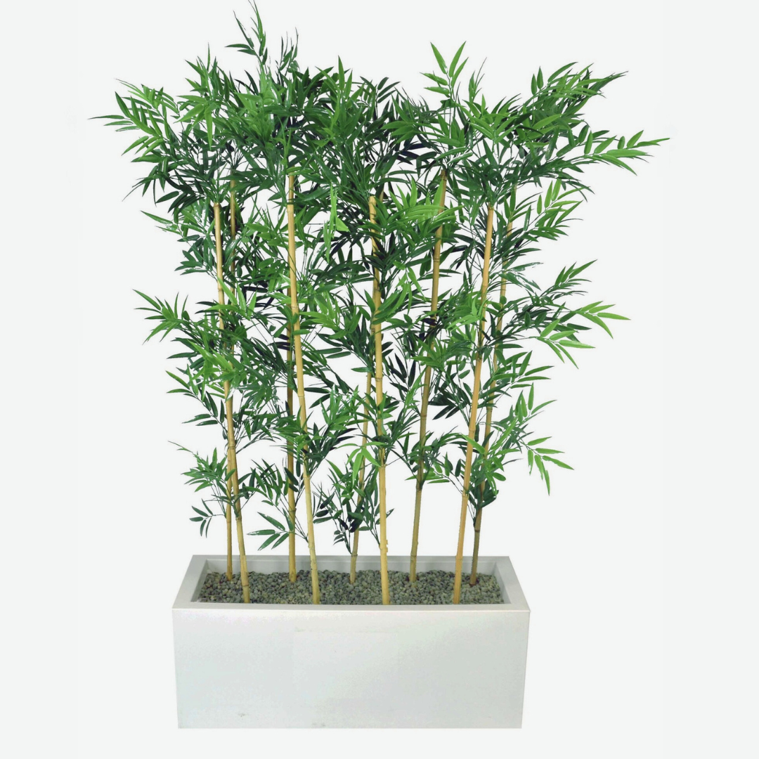 Bamboo